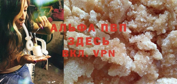 сатива Волоколамск