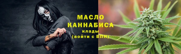 сатива Волоколамск