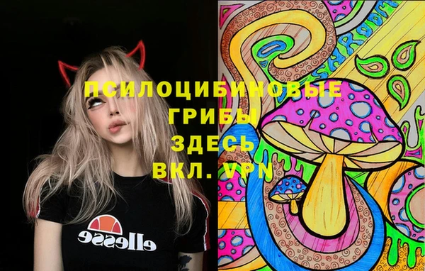 сатива Волоколамск
