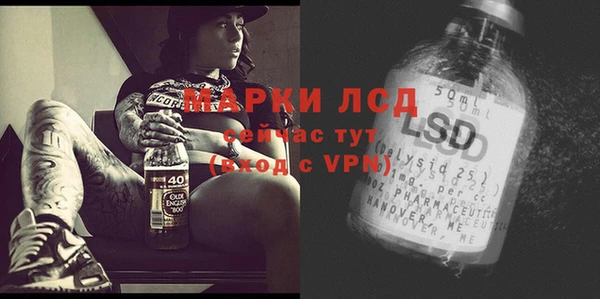 сатива Волоколамск