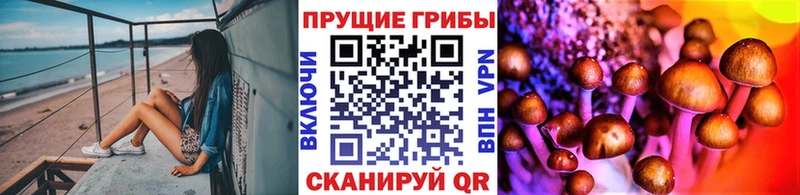 Псилоцибиновые грибы Psilocybine cubensis  Купить где  Зуевка 
